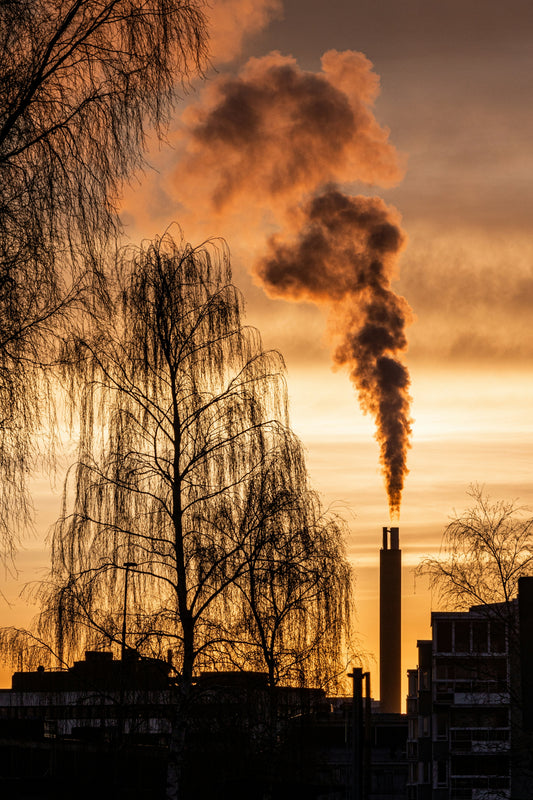 Industrial pollution and environmental impact