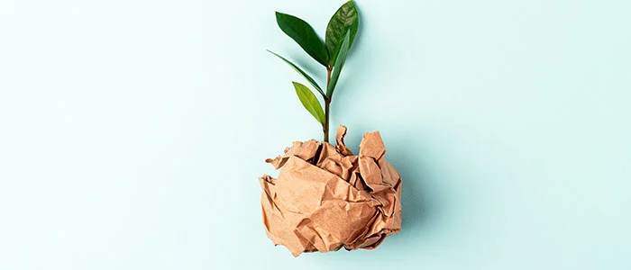 Eco-friendly practices - plant growing from recycled paper