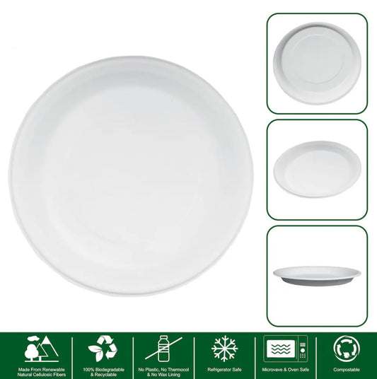 Freshee 3 Compartment Bagasses Plates, Pack of 10, 10inch Sugarcane Based Cutlery