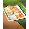 Freshee 5 Compartment Bagasse Plates, Pack of 10 Disposable Plate