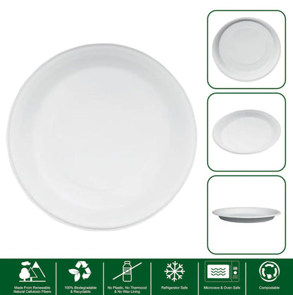 Freshee 3 Compartment Bagasses Plates, Pack of 10, 10inch Sugarcane Based Cutlery