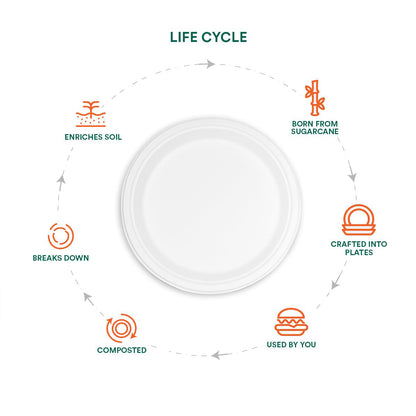 Freshee Baking Paper Food Wraping 15 Meter Parchment Roll Pack of 1, Food Wrap, Butter Paper, Baking Wrap