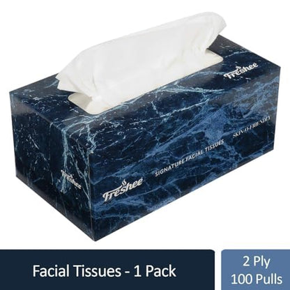 Freshee 2 Ply Facial Tissue Box - 100 pulls