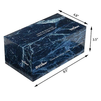 Freshee 2 Ply Facial Tissue Box - 100 pulls