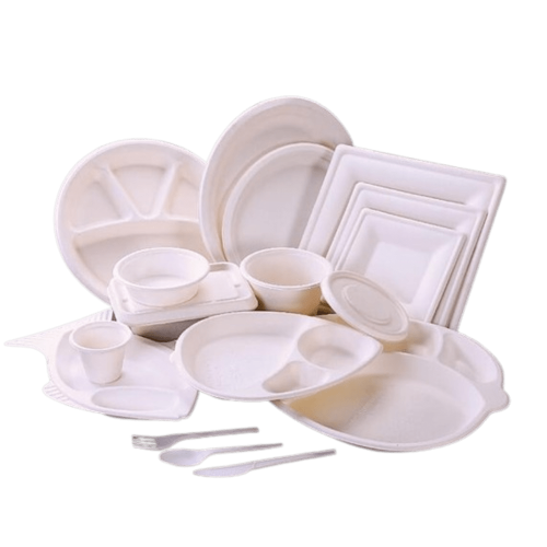 Bagasse Compostable Products