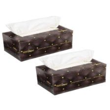 Freshee Signature Facial Tissues Skin Ofriendly pack of 2
