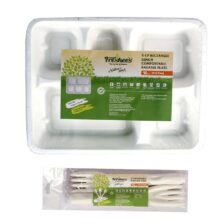 Freshee 5CP Reactangle lunch compostable bagasse plate(1)